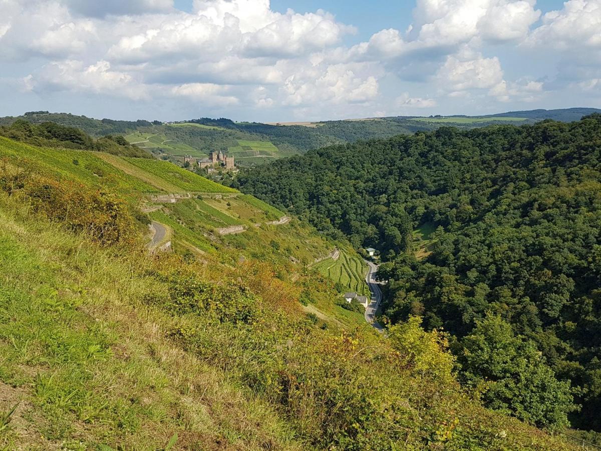 Rhine Pearl Hideaways Apartman Oberwesel Kültér fotó