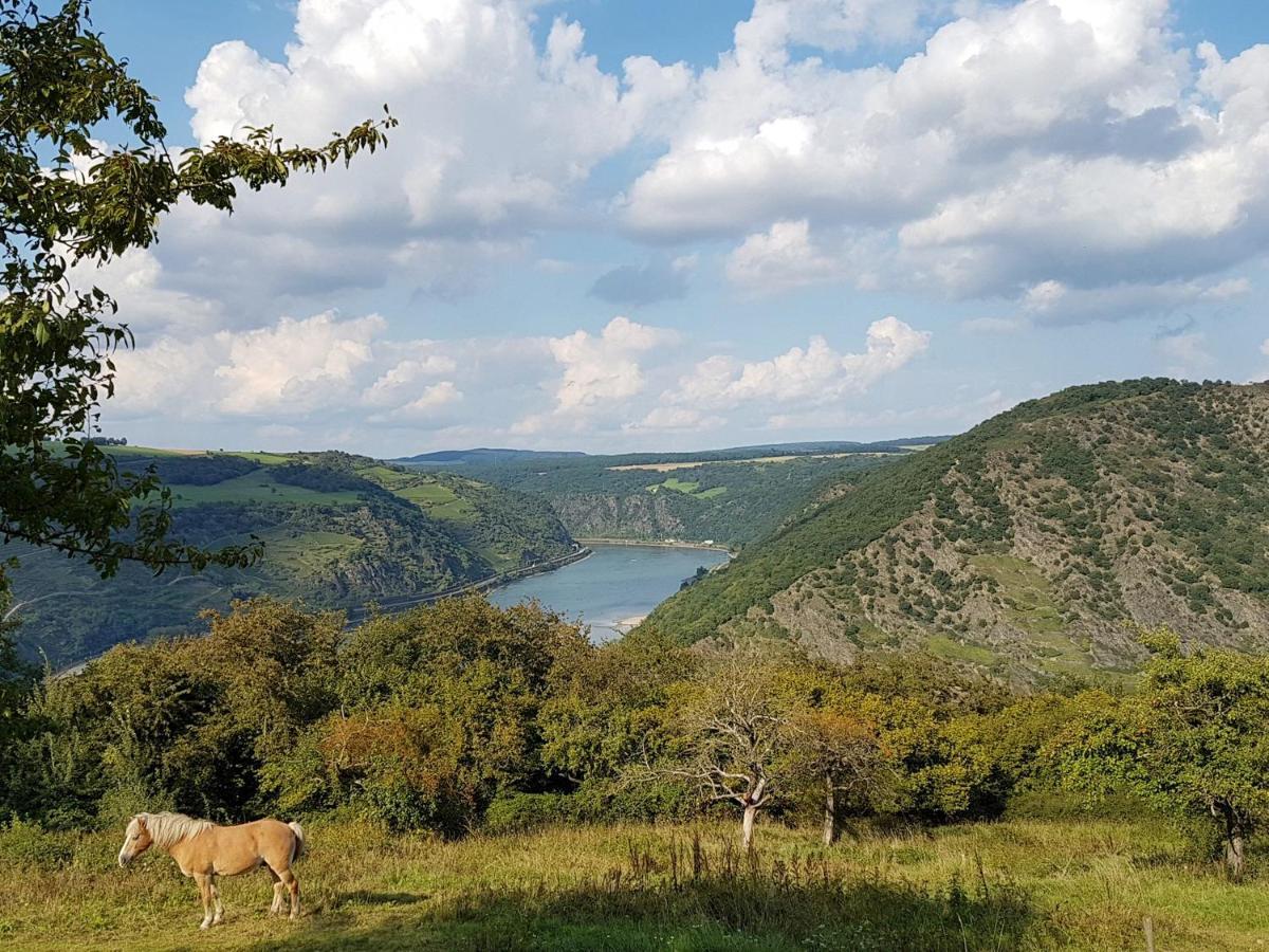 Rhine Pearl Hideaways Apartman Oberwesel Kültér fotó