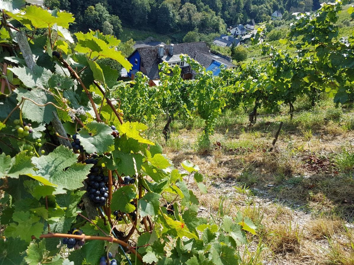Rhine Pearl Hideaways Apartman Oberwesel Kültér fotó